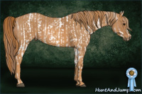 Horse Color:White Spotted Brown Pearl Frame Rabicano  Brindle