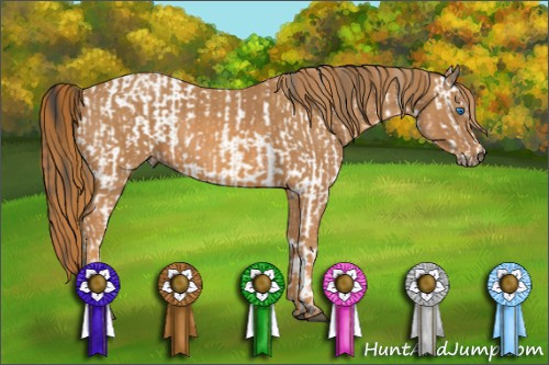Horse Color: White Spotted Brown Frame Near Fewspot Rabicano  Brindle