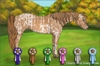 Horse Color:White Spotted Brown Frame Appaloosa Rabicano Brindle