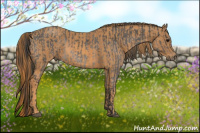 Horse Color:White Spotted Brown Frame Varnish Rabicano  Brindle