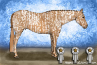 Horse Color:White Spotted Brown Frame Appaloosa Rabicano  Brindle