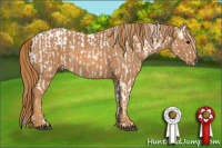 Horse Color:White Spotted Brown Frame Near Fewspot Rabicano  Brindle