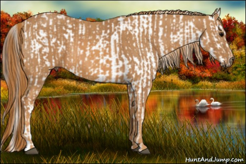 Horse Color: White Spotted Brown Frame Snowcap Rabicano  Brindle