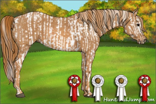 Horse Color: White Spotted Brown Frame Snowcap Rabicano  Brindle