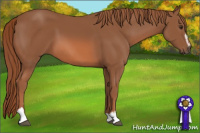 Horse Color:Chestnut Sabino