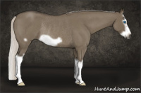 Horse Color:Gray Silver Smoky Grullo Roan Splash Frame Rabicano