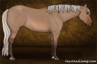 Horse Color:Silver Bay Dun 