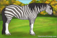 Horse Color:Smoky Grullo Roan 