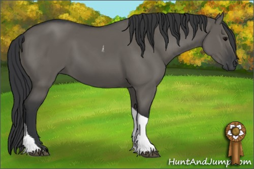Horse Color: Grullo Tobiano 
