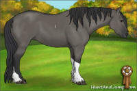 Horse Color:Grullo Tobiano