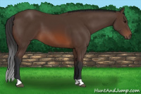 Horse Color:Brown 