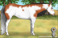 Horse Color:Bay Splash Frame