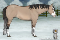 Horse Color:Bay Dun Splash