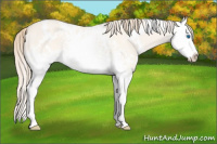 Horse Color:White Spotted Perlino Dun Splash 