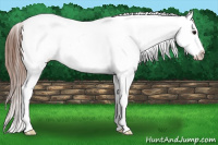 Horse Color:Bay Roan Dun Splash Frame Blanket 