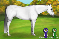 Horse Color:White Spotted Black Splash Frame