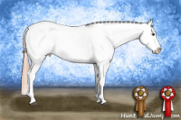 Horse Color:Red Roan Varnish 