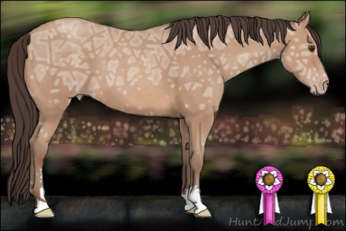 Horse Color: Sable Champagne Ice Sabino 
