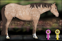 Horse Color:Sable Champagne Ice Sabino 
