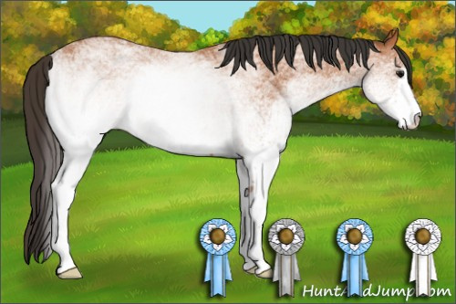 Horse Color: White Spotted Bay 