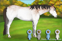 Horse Color:White Spotted Bay 