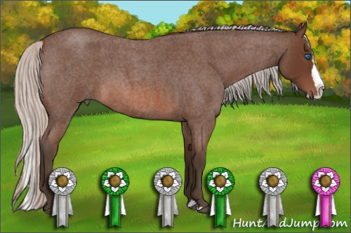 Horse Color: Silver Brown Roan Splash 