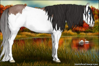 Horse Color:Bay Roan Splash Rabicano 