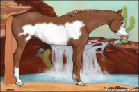 Horse Color:Liver Chestnut Frame 