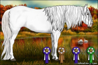 Horse Color:White Spotted Silver Bay Blanket Rabicano 