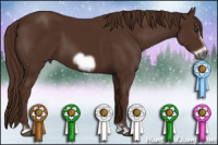 Horse Color:Gray Liver Chestnut Frame 