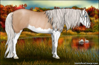 Horse Color:Silver Black Pearl Splash Rabicano 