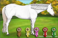 Horse Color:Red Roan Splash Appaloosa 