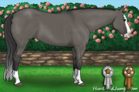 Horse Color:Brown Dun Splash