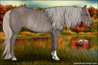 Horse Color:Silver Black Rabicano 