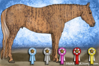 Horse Color:Silver Black Splash Tobiano Brindle
