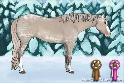 Horse Color: Silver Grullo Ice Sabino Splash Tobiano 