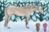 Horse Color:Silver Grullo Ice Sabino Splash Tobiano