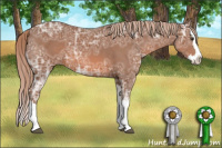 Horse Color:Liver Chestnut Ice Sabino Splash 