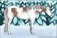 Horse Color:White Spotted Silver Black Splash Tobiano 