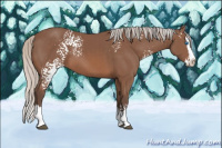 Horse Color:White Spotted Silver Black Sabino Splash