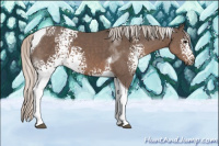 Horse Color:White Spotted Silver Black Tobiano 
