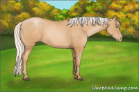 Horse Color:Silver Bay Pearl Sabino