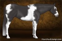 Horse Color:Smoky Black Splash Tobiano Frame 