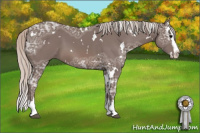 Horse Color:White Spotted Silver Black Ice Sabino Splash 