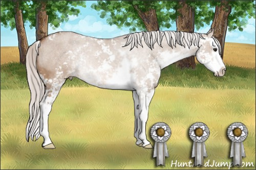Horse Color: Unknown 