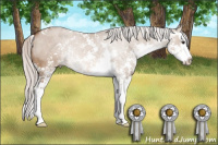 Horse Color:Unknown 