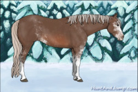 Horse Color:Silver Black Sabino 