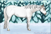 Horse Color:Silver Black Sabino Splash Tobiano Frame