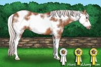 Horse Color:Silver Bay Sabino Frame 