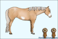 Horse Color:Silver Bay Pearl Sabino Frame 